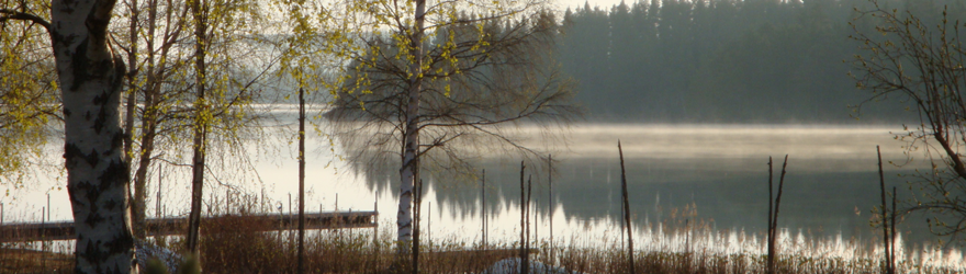 Sommar sommar sommar