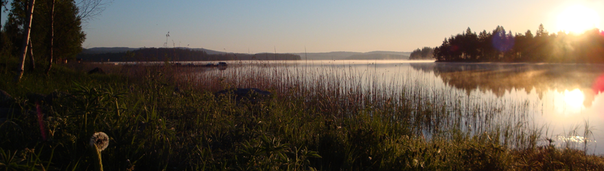 Midsommarljus med långa dagar