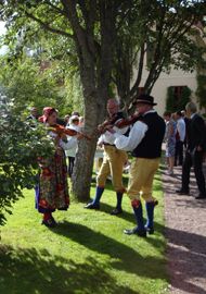 Folkmusic in our garden